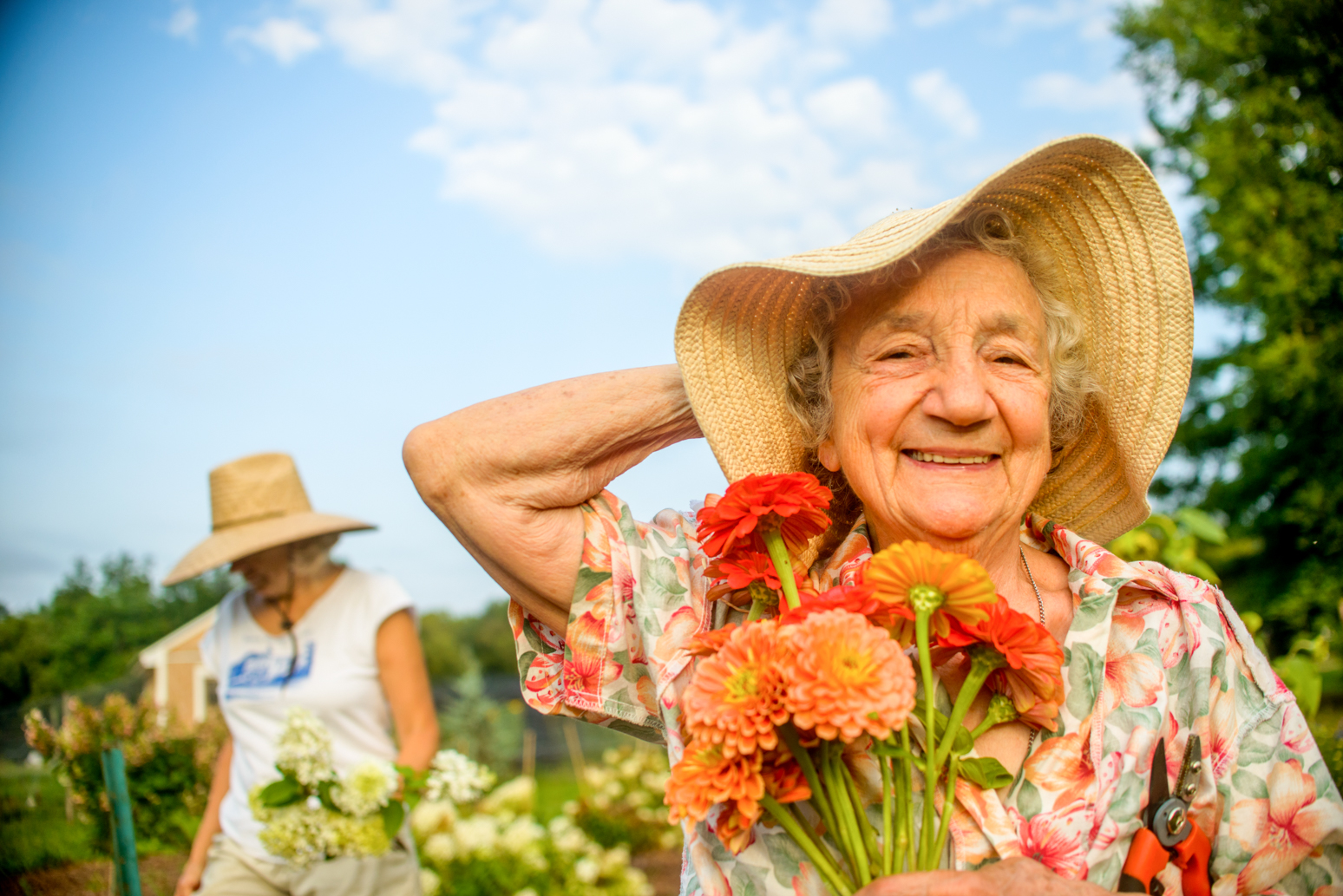 Jardinage d'été